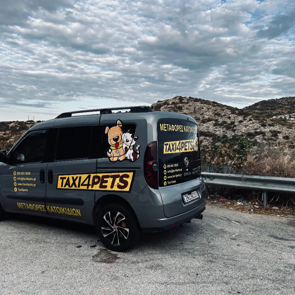 Το όχημα του Taxi4Pets σε παραθαλάσσιο δρόμο της Αττικής, καθ’ οδόν για μεταφορά κατοικιδίου